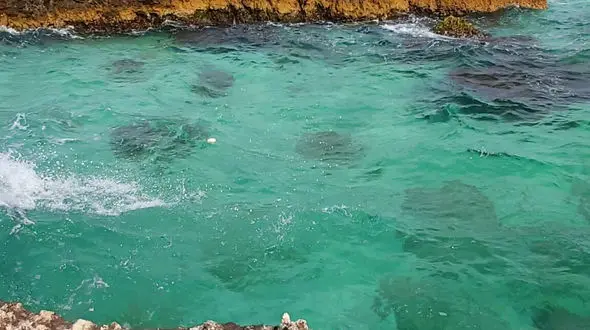 از جزیره مارو تا آب بندان زیبای شفیع آباد