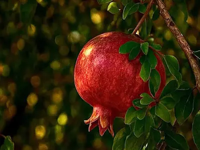 تعبیر فال ابجد 6 آبان ماه + فیلم