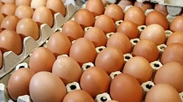 کشف 1200 تن تخم مرغ قاچاق در مرز مریوان 