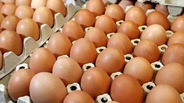 کشف تخم مرغ های محلی تقلبی در قزوین 