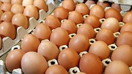 کشف 1200 تن تخم مرغ قاچاق در مرز مریوان 