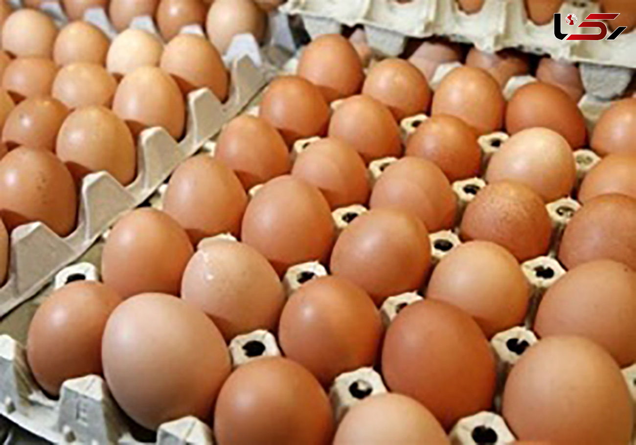 کشف تخم مرغ های فاقد مجوز در الیگودرز 
