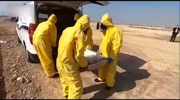 نحوه خاکسپاری بیمار کرونایی در بندرامام خمینی (ره) + فیلم 