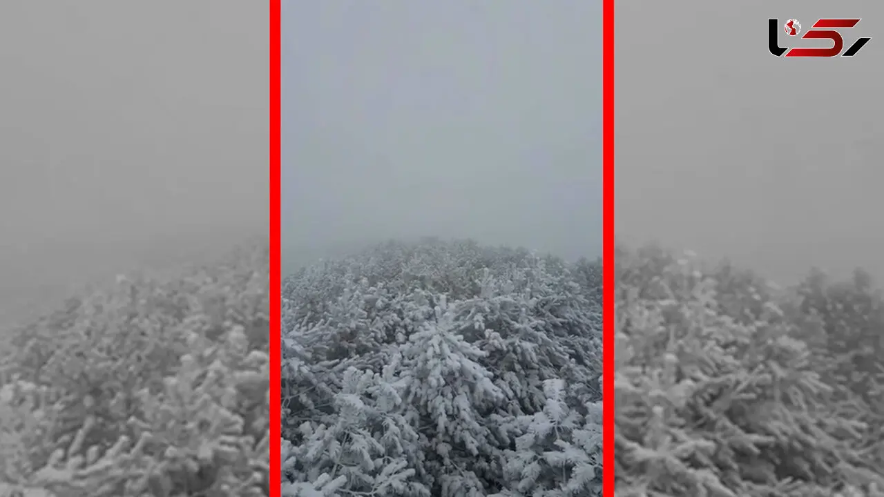 فیلم زیبایی طبیعت برفی فندوقلو