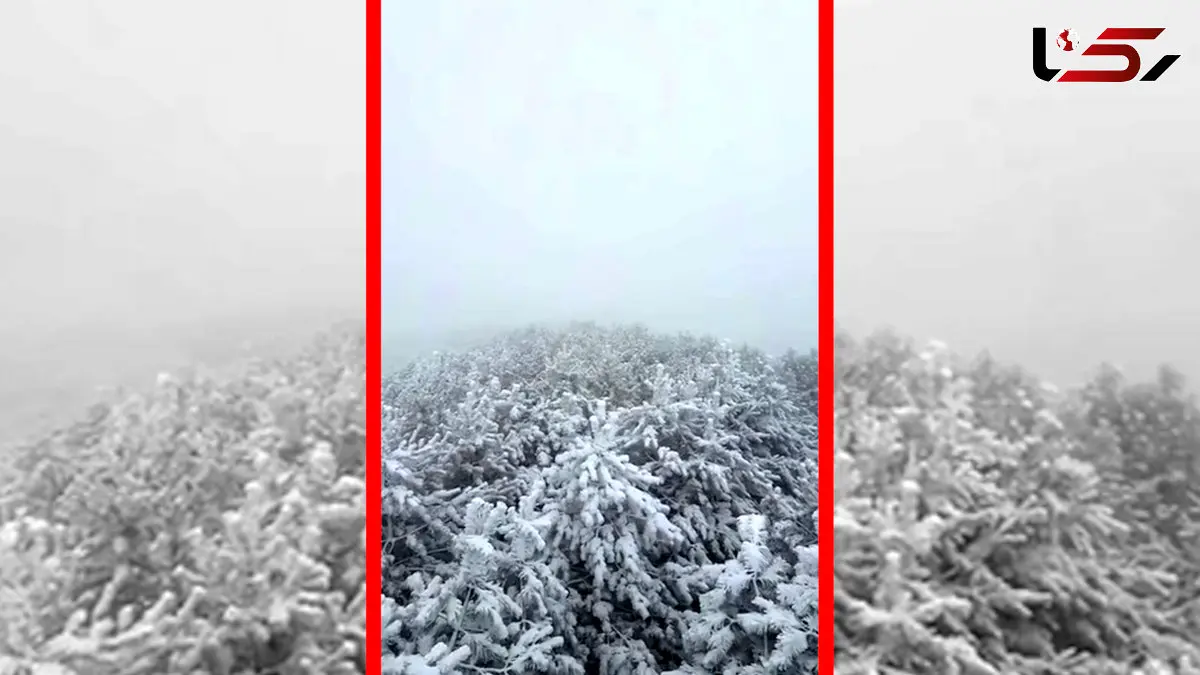 فیلم زیبایی طبیعت برفی فندوقلو