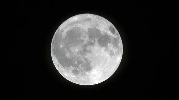 ماه و قوها لحظه‌ هایی از آرامش