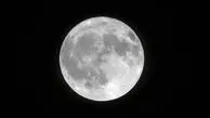 ماه و قوها لحظه‌ هایی از آرامش