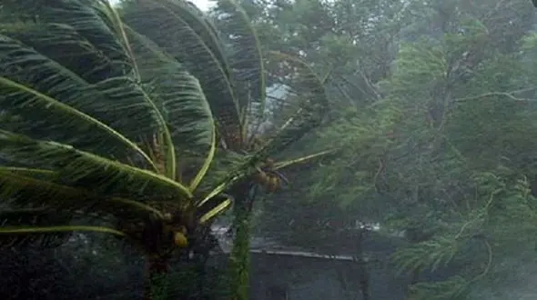 تندباد در 4 استان از بعدازظهر /  بارش باران طی 5 روز آینده