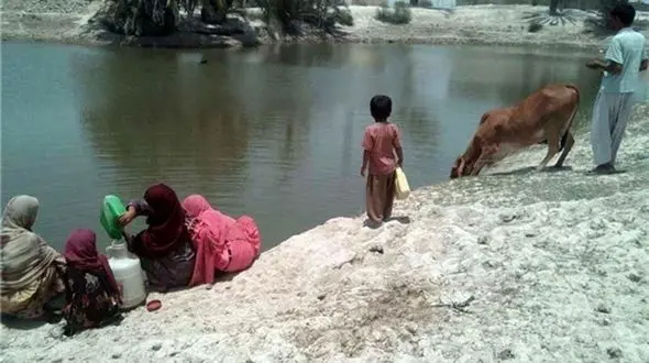 مردم سیستان و بلوچستان نه آب دارند نه گاز / رئیس جمهورها از زمان هاشمی دغدغه حل مشکل هوتک ها را ندارند