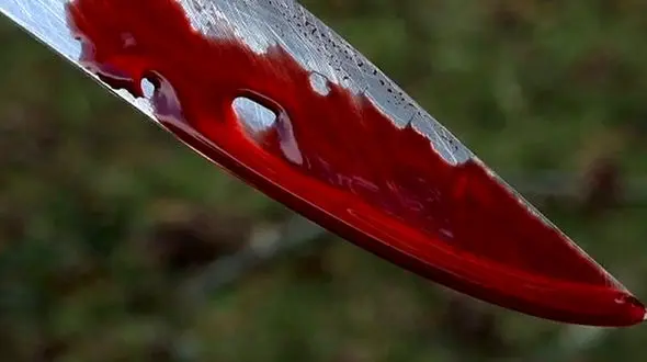 قاتل افغانستانی در گاوداری پنهان بود / قتل در بهارستان تهران بازداشت در شهرضا