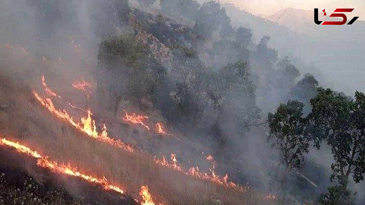 بازداشت دو نوجوان به خاطر آتش زدن مراتع و جنگل در سیروان