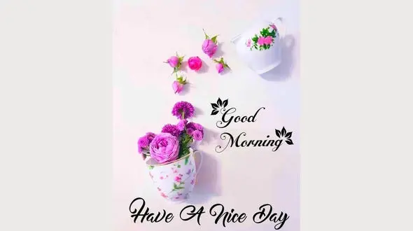 فال ابجد امروز / 5 شهریور ماه + فیلم