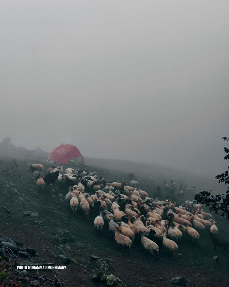 تصویر برف پاییزی اسالم