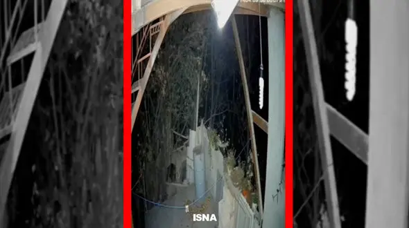 فیلم ورود خرس به منزل مسکونی در خطیرکوه سمنان