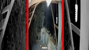فیلم ورود خرس به منزل مسکونی در خطیرکوه سمنان