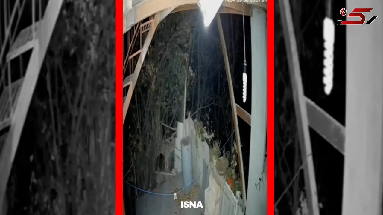 فیلم ورود خرس به منزل مسکونی در خطیرکوه سمنان