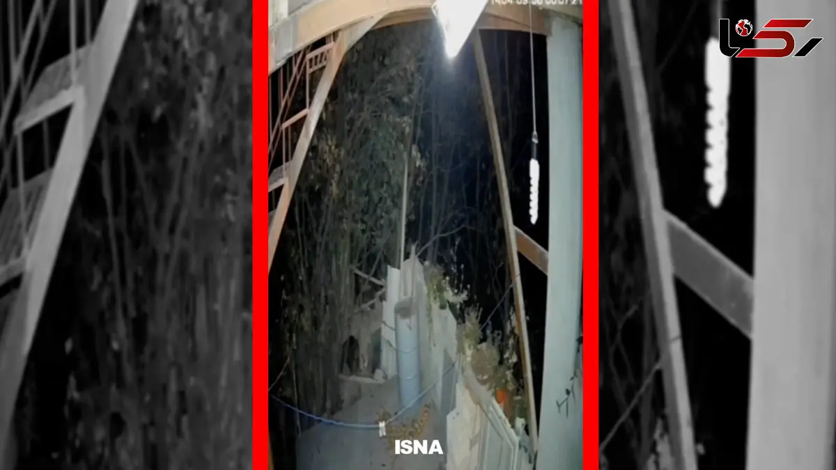 فیلم ورود خرس به منزل مسکونی در خطیرکوه سمنان