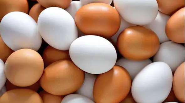 تخم ضد سرطان روانه بازارها می شوند