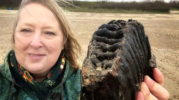 کشف غیرمنتظره دندان 2 کیلوگرمی در ساحل! 