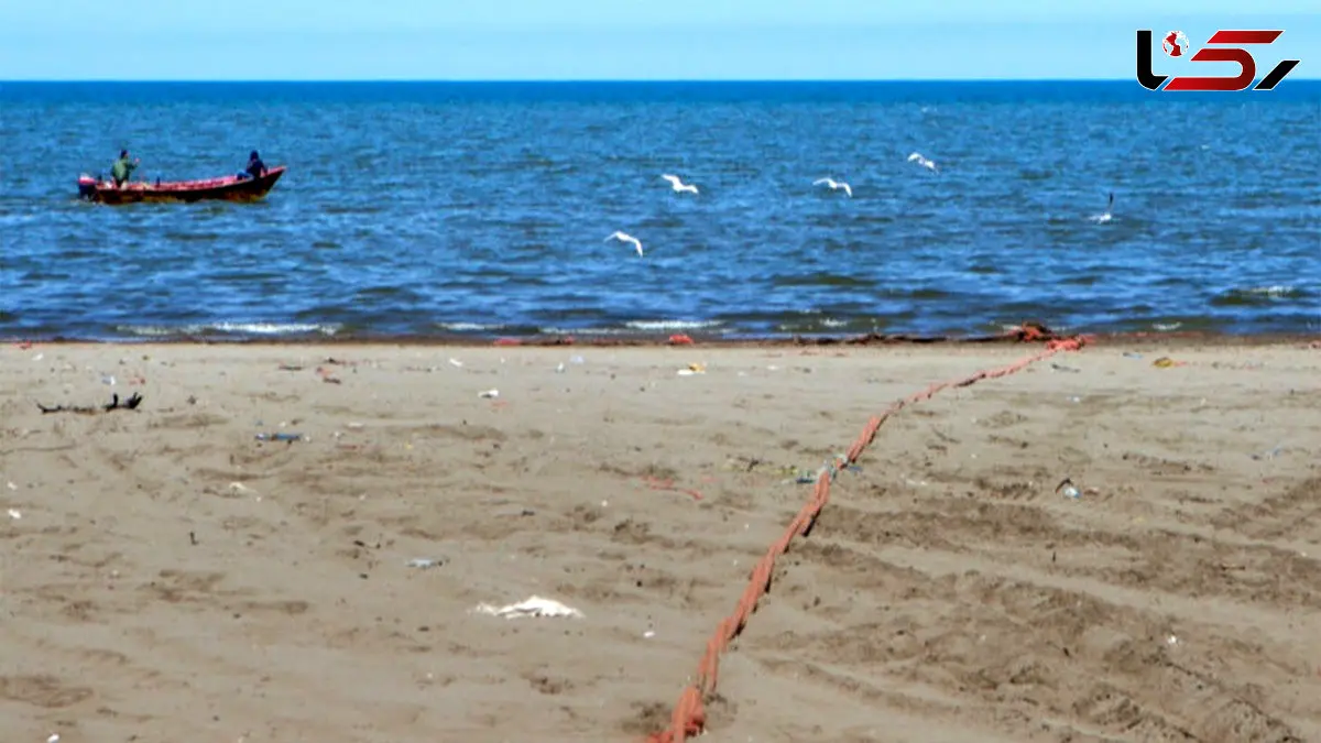  بازگشت حیات به تالاب نهبندان + فیلم