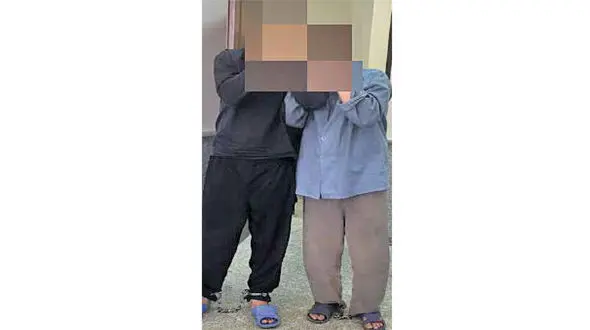 آزار زن مقیم دوبی در ارابه شیطانی پارک شده در میدان آزادی تهران+عکس