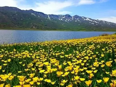 فیلم از طبیعت بکر اردبیل دریاچه نئور