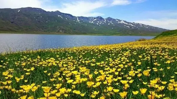 فیلم از طبیعت بکر اردبیل دریاچه نئور
