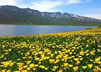 فال و طالع بینی امروز 6 مرداد 1405