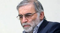 انتقام ایران از عاملان ترور شهید محسن فخری زاده + تحلیل