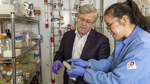 با این سم خطرناک  سه سرطان کشنده نابود می شوند