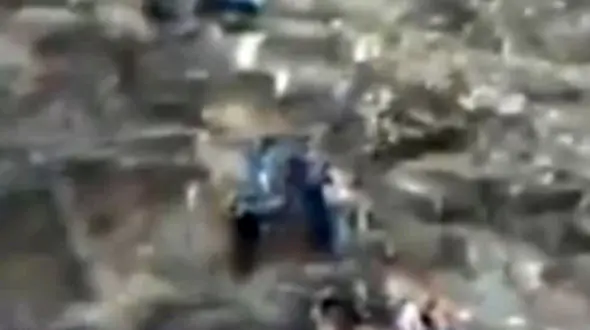 حمله وحشیانه عقاب به زن کوهنورد +فیلم 