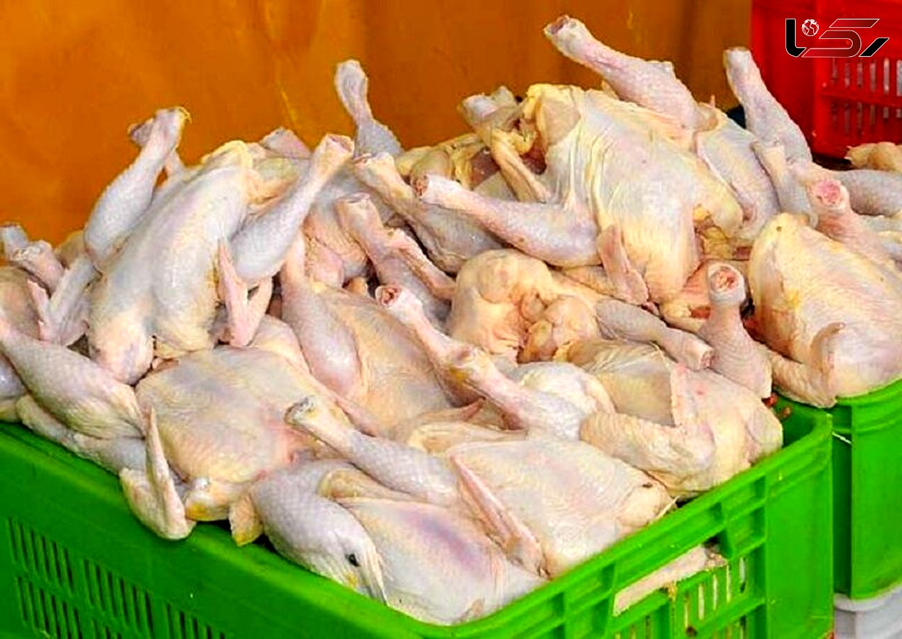 کشف محموله  ۲ میلیاردی مرغ احتکار شده در بروجرد| یک نفر دستگیر شد