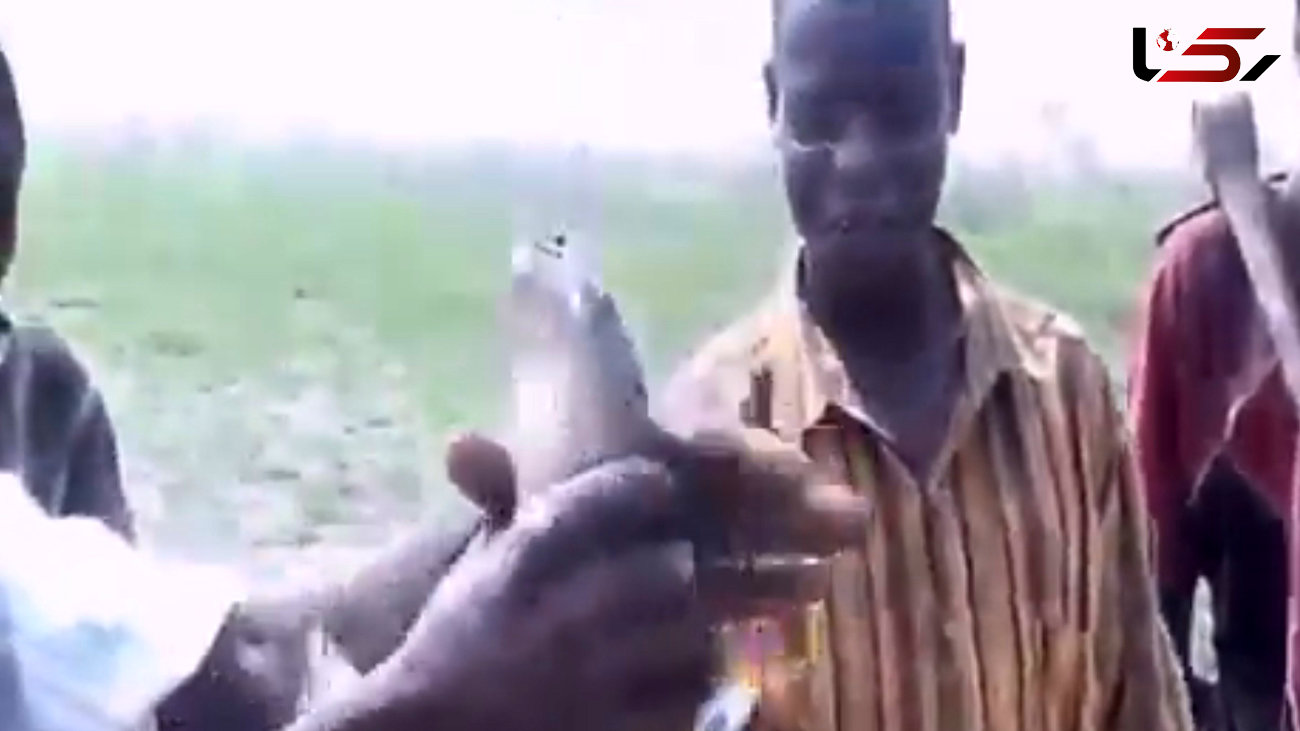 ماهیگیری جالب و عجیب در زیر خاک!+فیلم