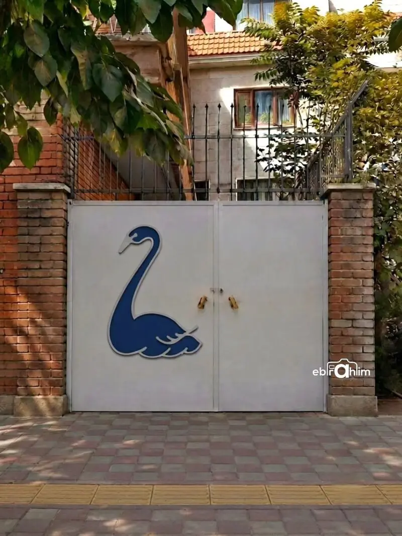 در قو شکل