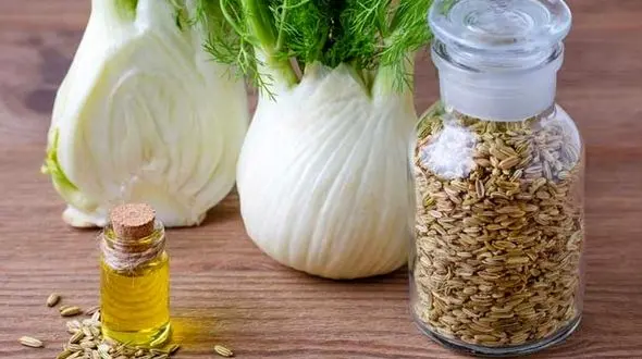 بیماری های زنانه را با این گیاه شگفت انگیز درمان کنید