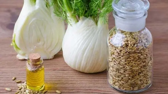 بیماری های زنانه را با این گیاه شگفت انگیز درمان کنید