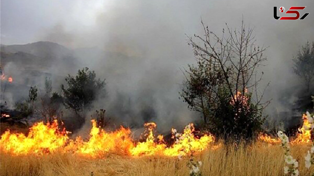 10  هکتار اراضی کشاورزی آبیک در آتش سوخت