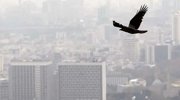 هشدار/  مردم و بیماران تا حد امکان در فضای باز تردد نکنند 