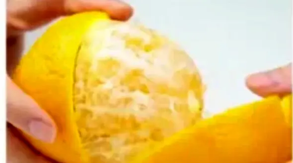 فیلم طریقه صحیح پوست گرفتن میوه‌ها 