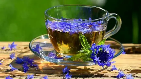 دمنوش عالی برای ترک سیگار