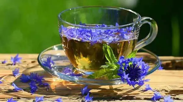 دمنوش عالی برای ترک سیگار