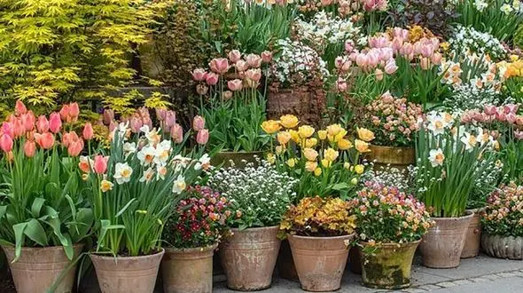 فال روزانه شخصی / 17 فروردین ماه + فیلم