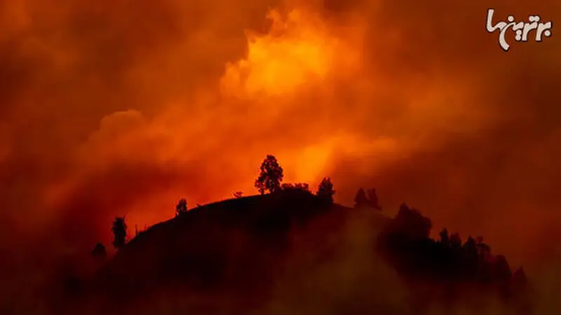 خانمان سوز‌ترین آتش سوزی‌های جهان که دلتان را به درد می آورد