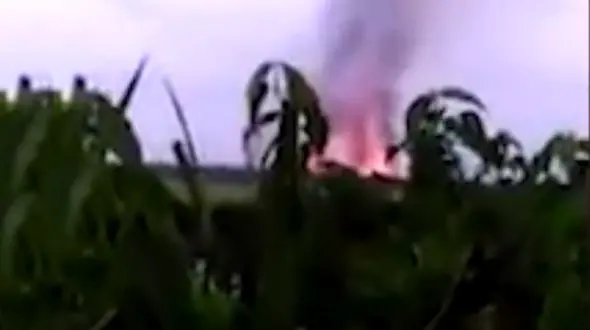 فیلم آتش سوزی بزرگ در یک روستا + عکس