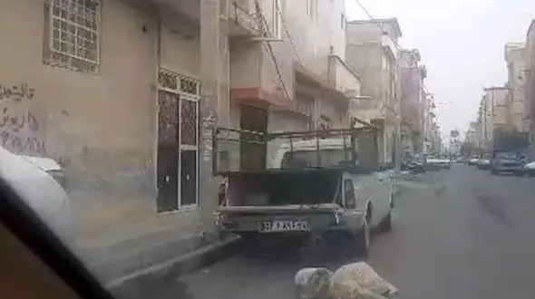 پاتک سارقان حرفه ای به یک کوچه در نسیم شهر / آن ها بی رحم بودند + فیلم