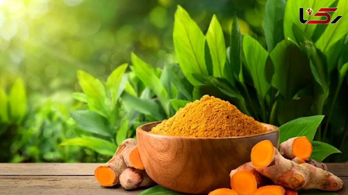 صبحانه مفید برای کبد چرب: این ادویه را از دست ندهید!
