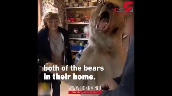 زندگی خرس‌ قهوه‌ای در خانه یک خانواده + فیلم