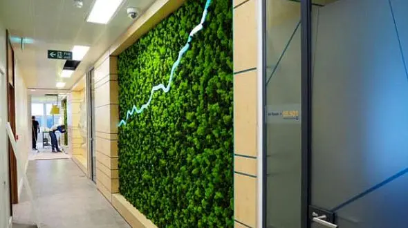 طراحی دفتر آمازون با دیوارهای خاص