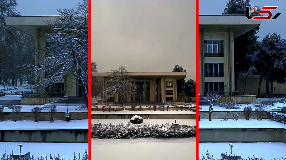 فیلم جلوه زمستانی کاخ نیاوران در تهران