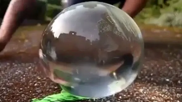 این شی ء دایره ای شما را غافلگیر می کند / فیلم